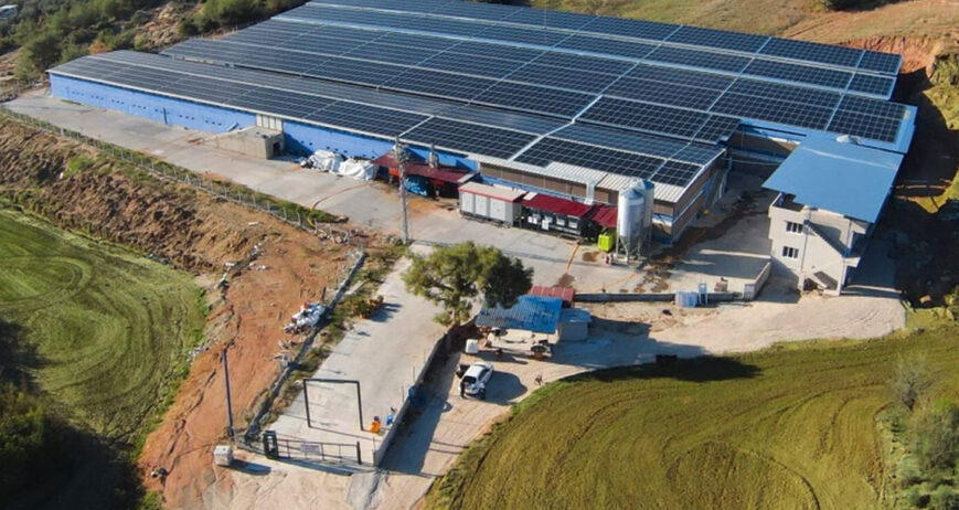 Sürdürülebilirlik, Acve Tarım değerler hiyerarşisinin en tepesinde yer alır. Bizim için üretim yapmak, sadece ekonomik bir faaliyet değil; çevreye duyarlı ve gelecek nesillere yaşanabilir bir dünya bırakma borcudur. Bu vizyon doğrultusunda, tarım ve hayvancılık tesislerimizi doğa ile barışık, kendi kendine yetebilen birer enerji santraline dönüştürdük.